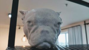 Cachorro Escaneado em 3D
